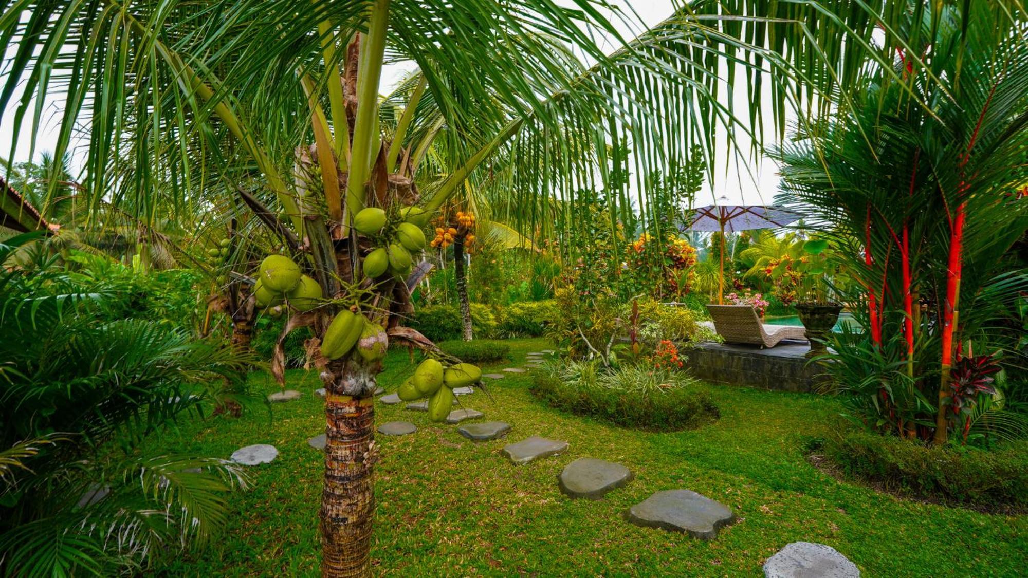 Gasthof Coconut