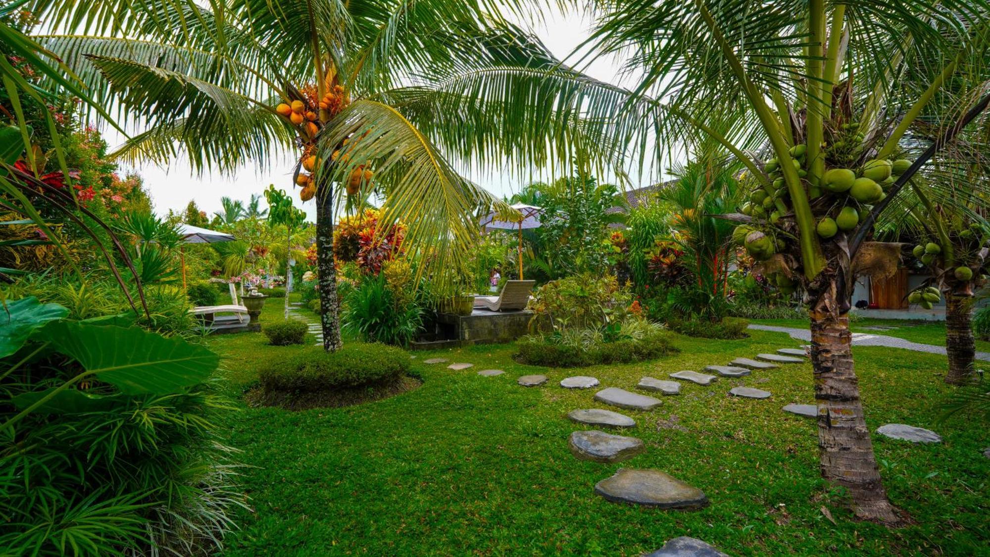 Coconut Ubud