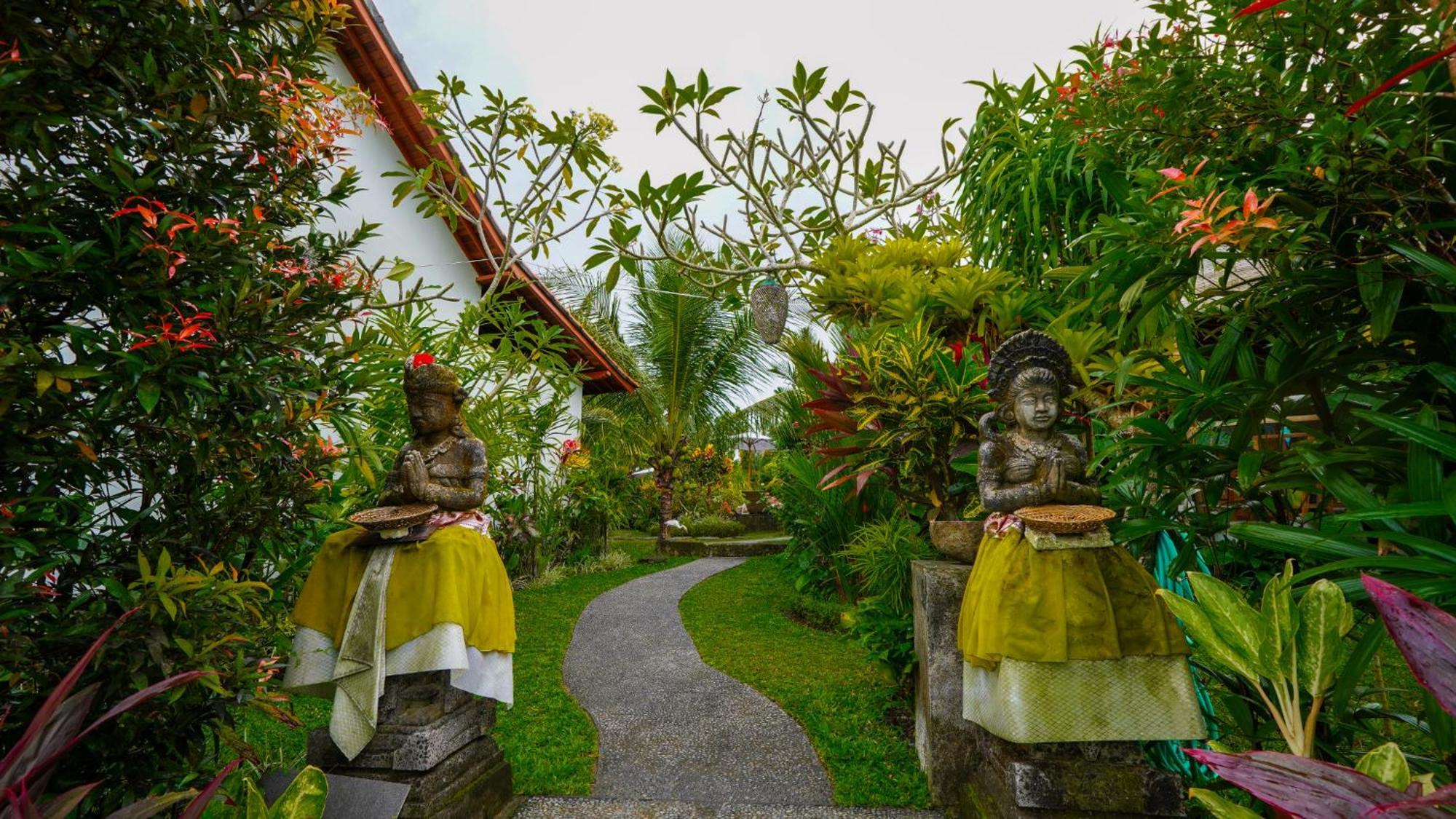 Coconut * Ubud