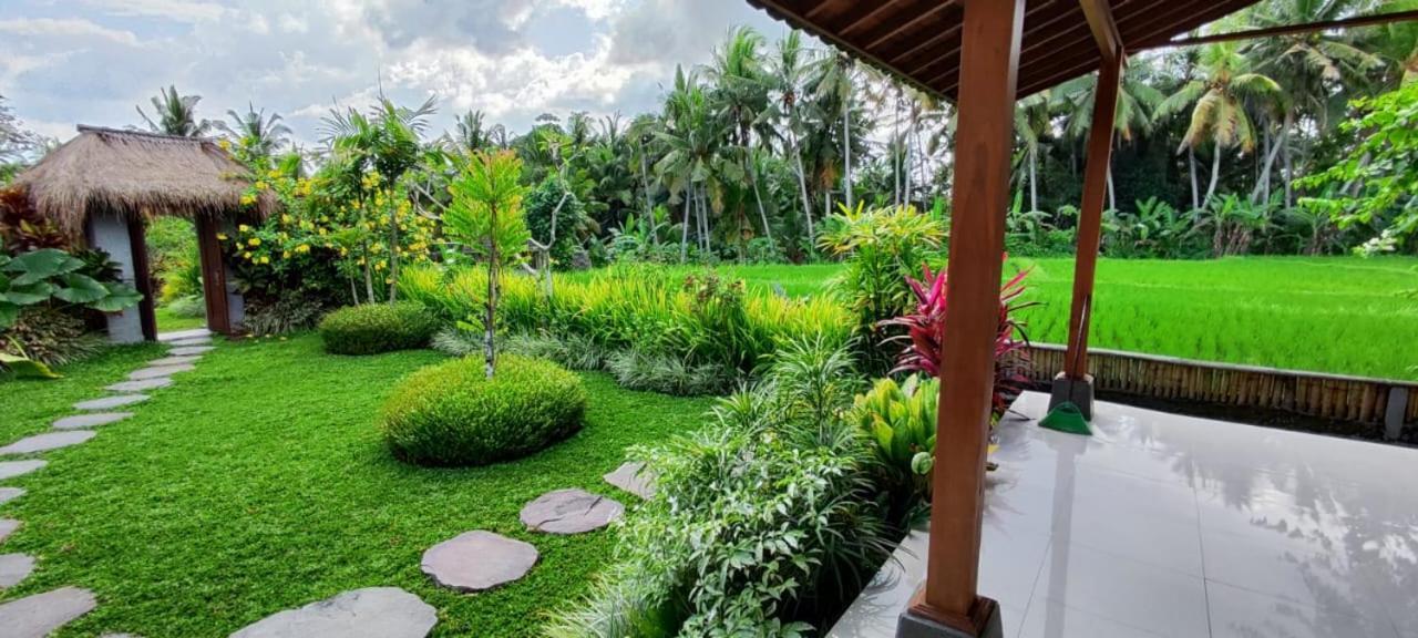 Coconut Guest house